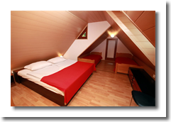 apartma_pri_bizjaku_12